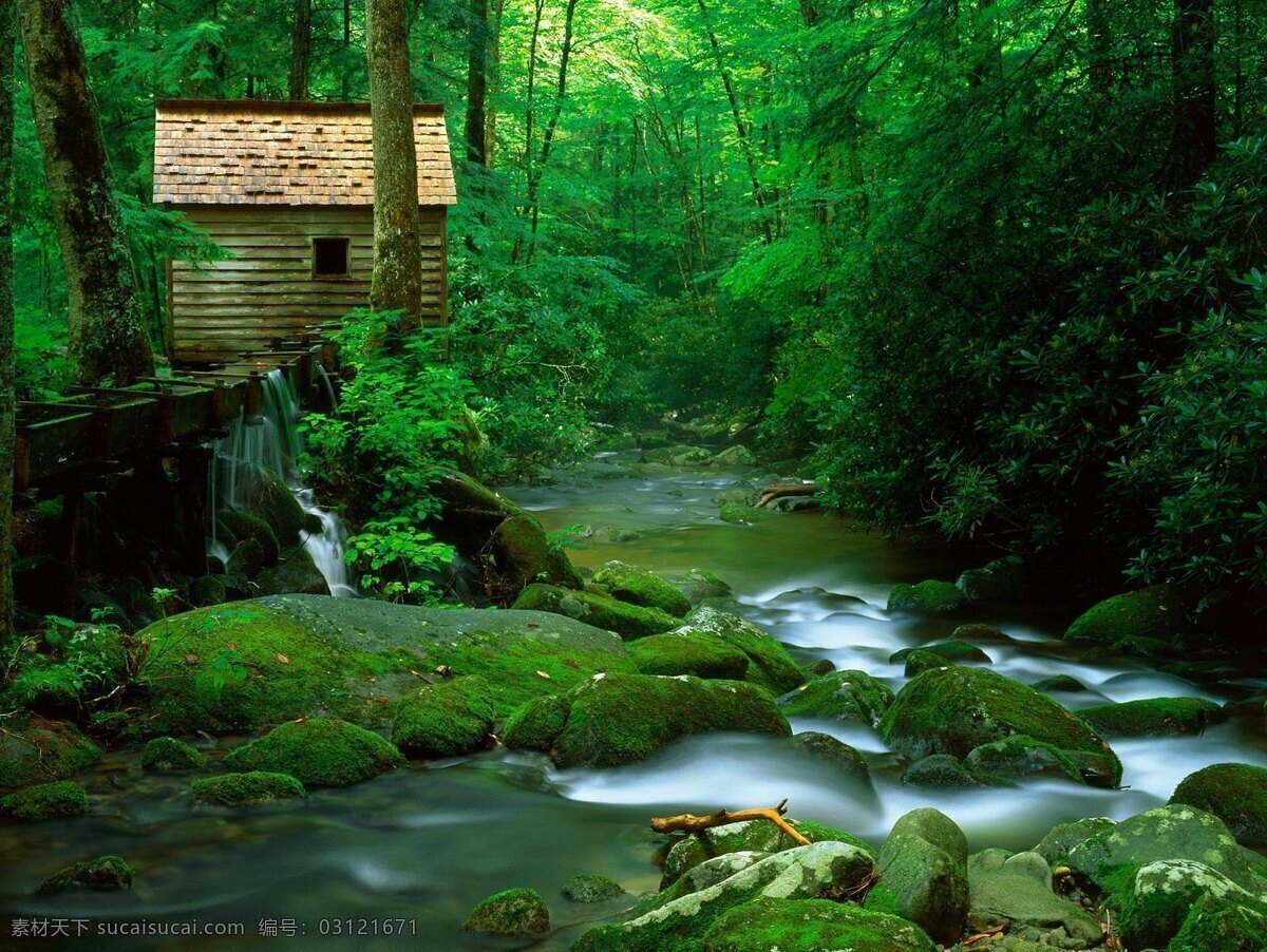 美图 绿色森林 小溪 自然景观 自然风景 摄影图库
