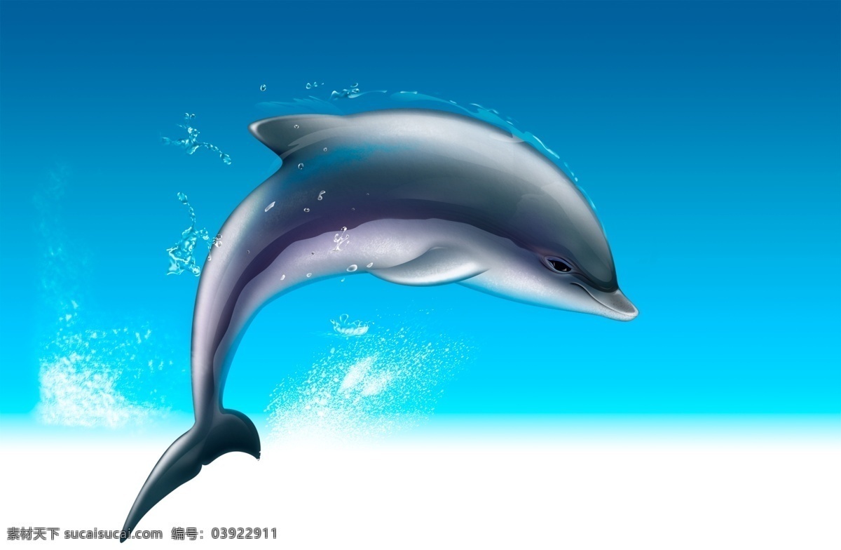海豚 卡通 动漫 动画 海洋生物 海洋动物 动物 小海豚 鱼 鱼类 ps源文件 分层