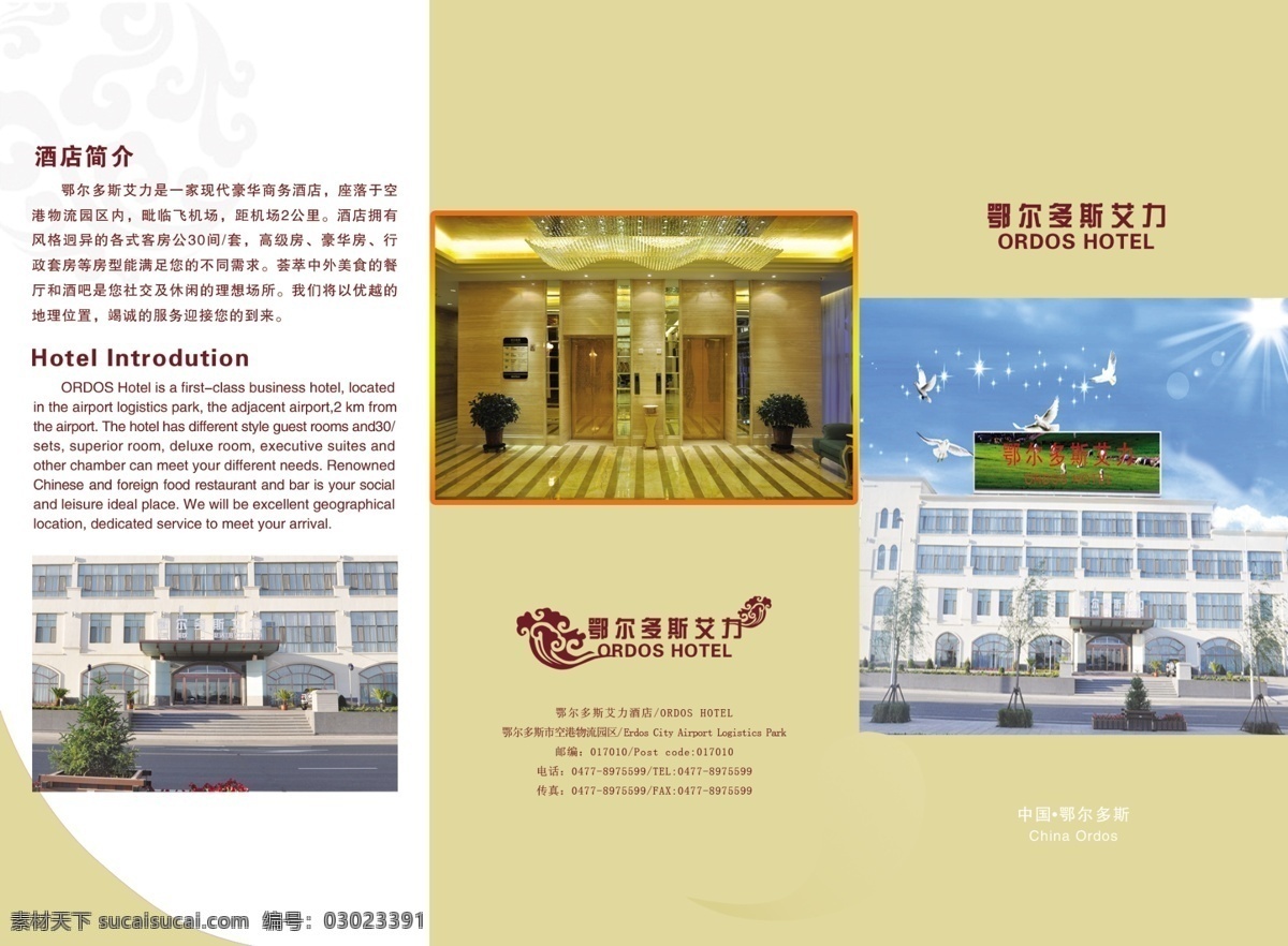 艾力三折页 艾力 三 折页 黄色