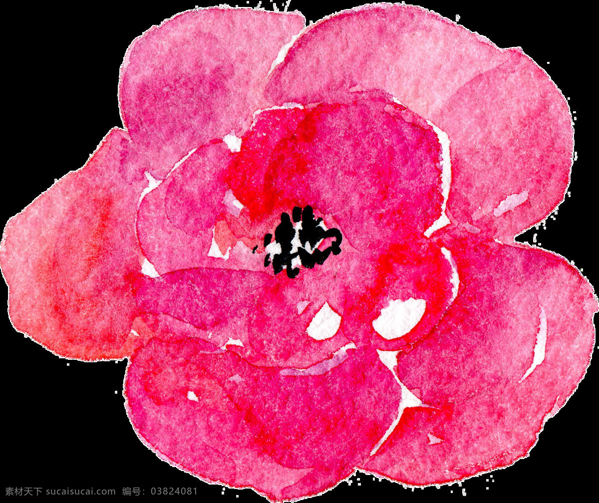 艳丽 优雅 花卉 卡通 透明 抠图专用 装饰 设计素材