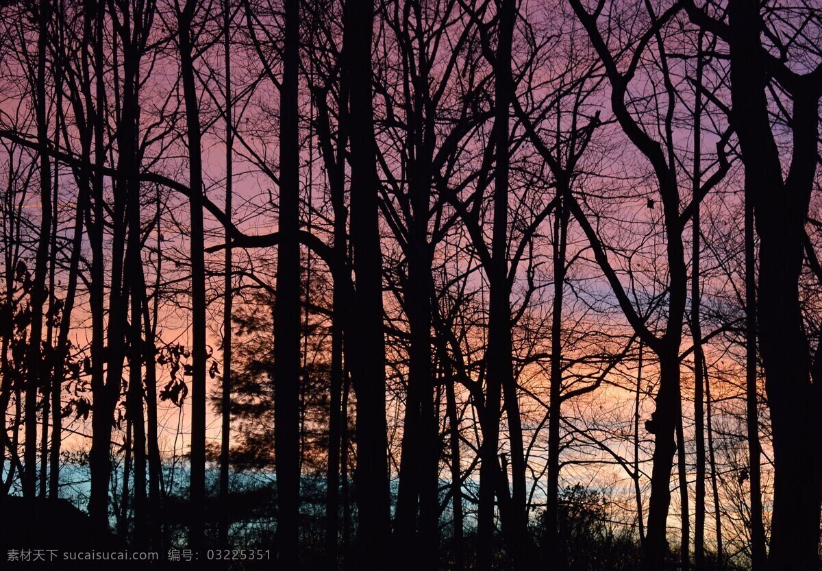 日落景观 黄昏的树林 日出的山林 傍晚天空 红色的山林 山岭的日落 日落西山 黑林子 山水风景图 自然景观 自然风景