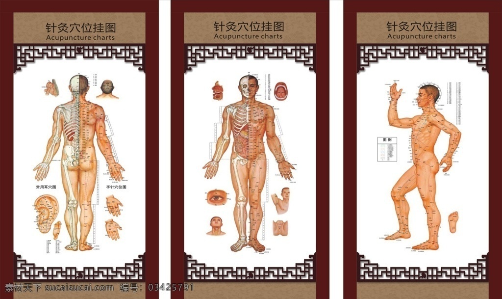 针灸展板 针灸图片 针灸疗法 针灸文化 针灸海报 传统针灸 中华针灸 中医针灸 针灸养生 针灸包装 针灸人物 古代针灸 针灸素材 针灸学 针灸穴位 针灸大全 针灸推拿 针灸理疗 室内广告设计