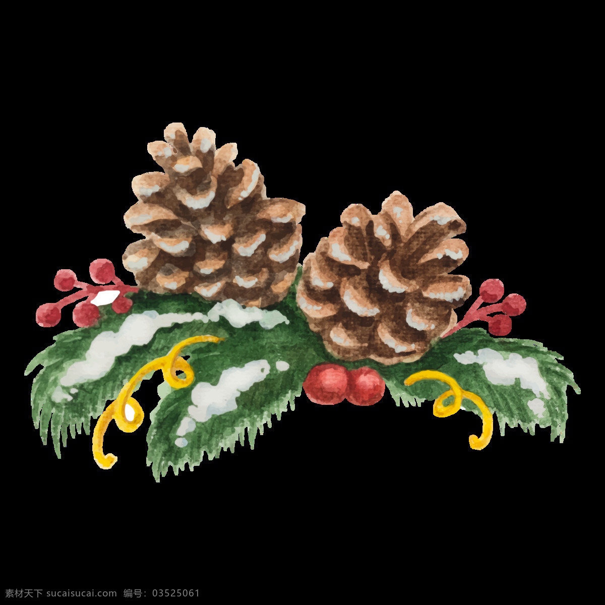 松树透明素材 冬季 松树 果实 卡通 抠图专用 装饰 设计素材