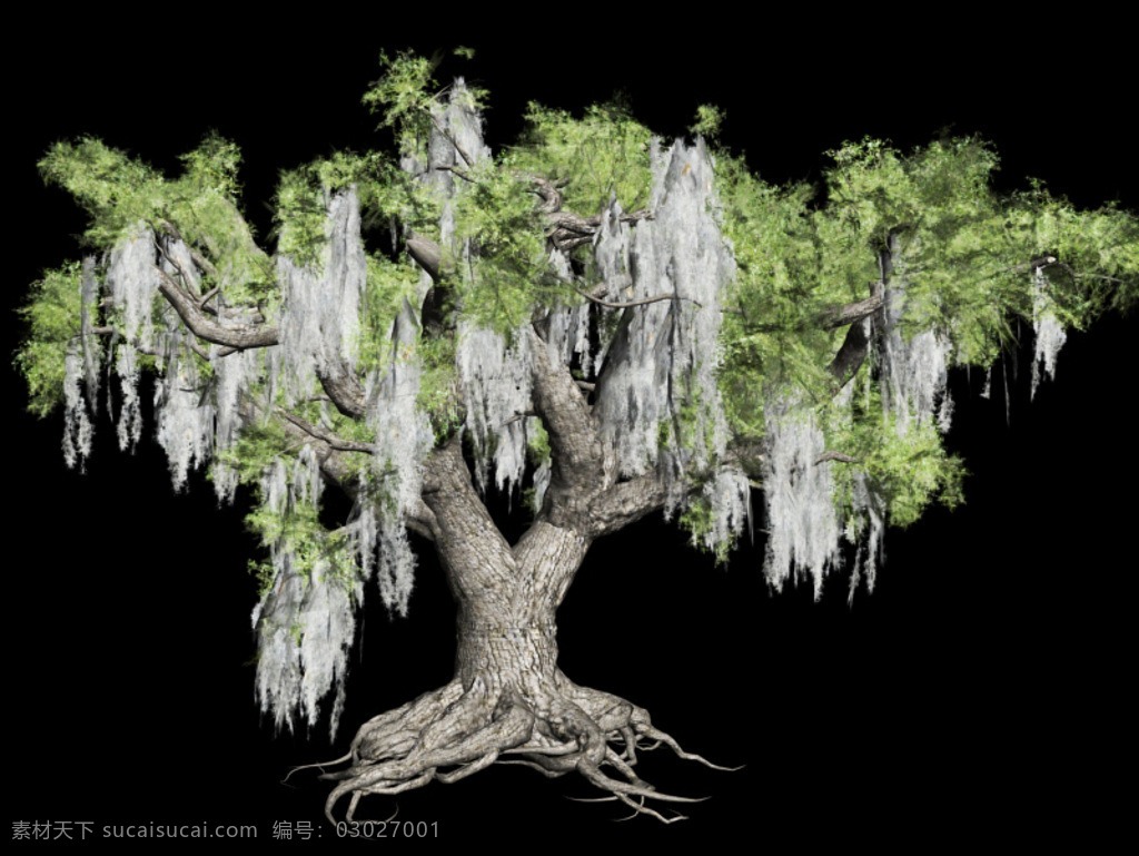 3d 3d设计模型 max 大树 带贴图 模型 树 源文件 植物 高 模 高模 共享资源 3d植物模型 其他模型 3d模型素材 其他3d模型