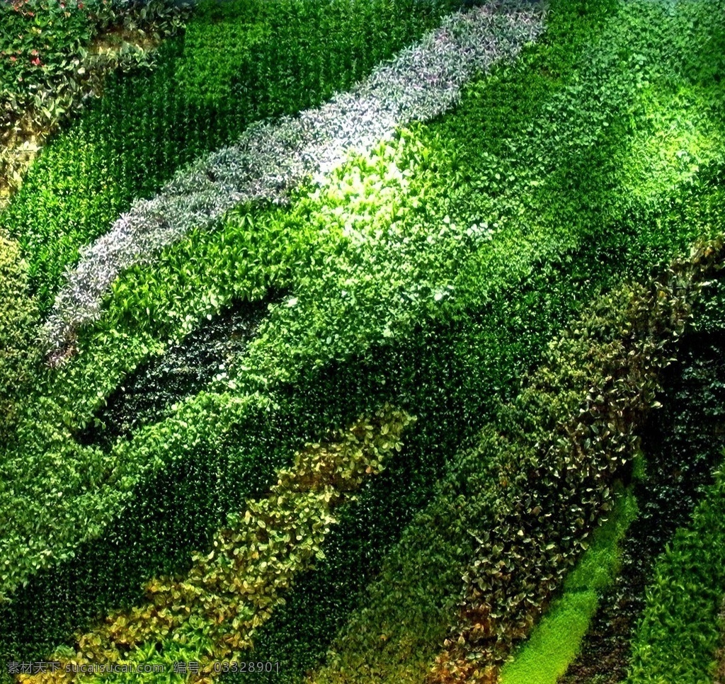 植物墙 植物墙贴图 植物墙园林 园林设计 园林植物墙 自然景观 建筑园林