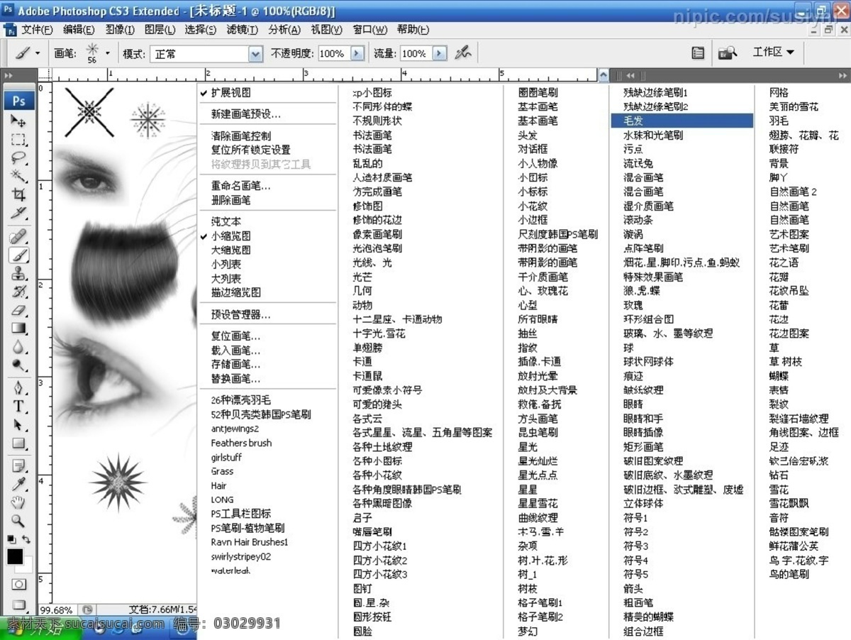 photoshop abr ps ps笔刷 笔刷 精美笔刷 羽毛 源文件库 cs3 精美 200 款 毛发 其他笔刷 psd源文件