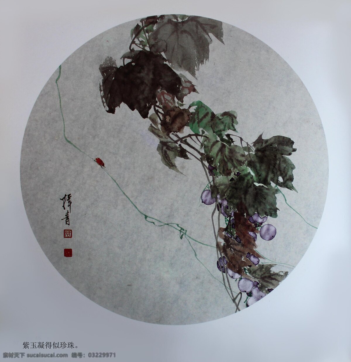 葡萄 珍珠 国画 工笔画 名家 华人 工笔画5花鸟 绘画书法 文化艺术