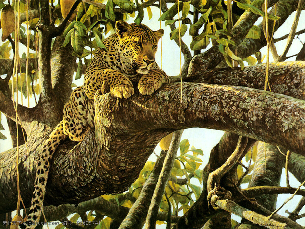 动物油画 花豹 大树 树叶 动物 写实 油画 绘画 艺术 绘画书法 文化艺术