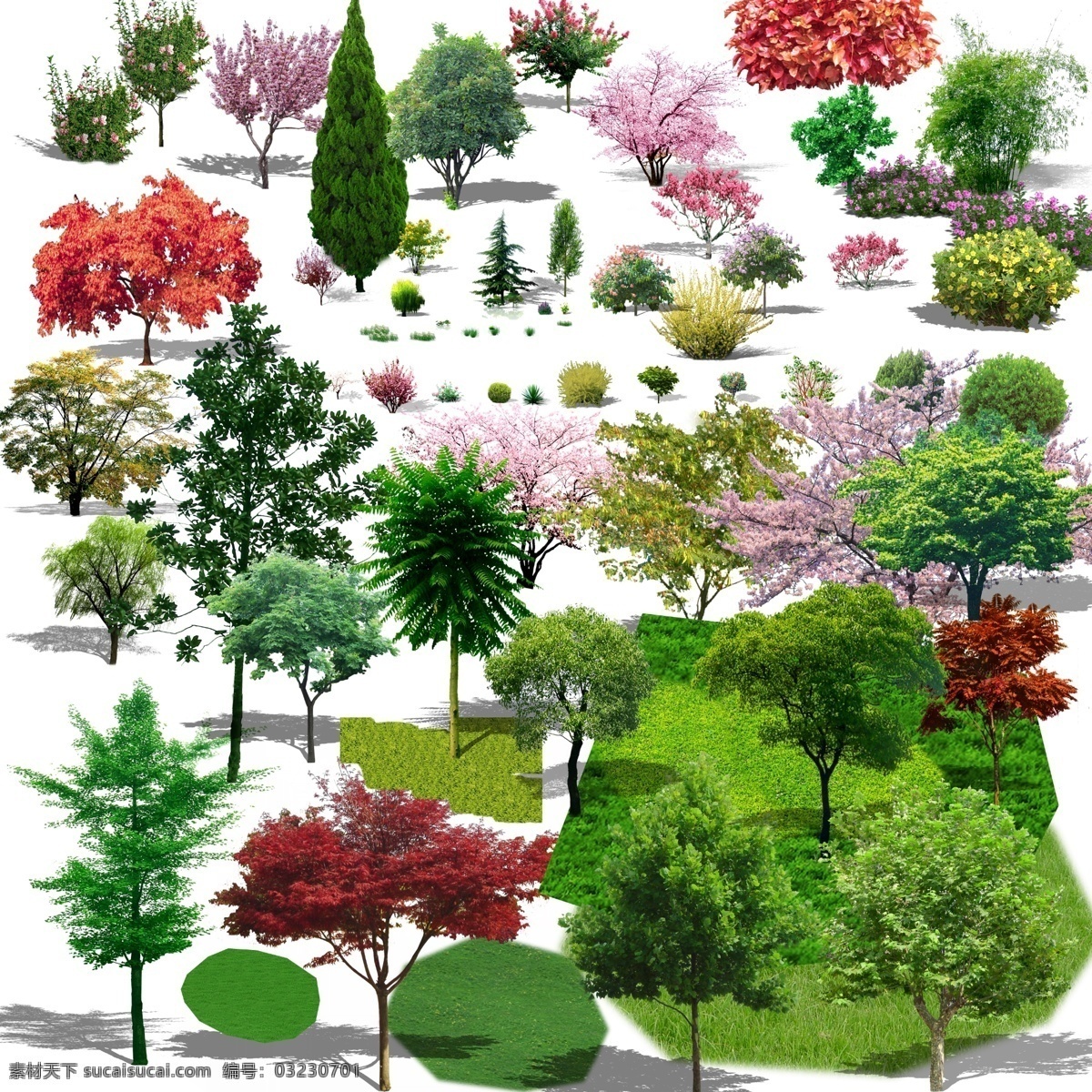 各种树种 各种树木 后期专用植物 后期必备植物 后期各种树木 分层 白色