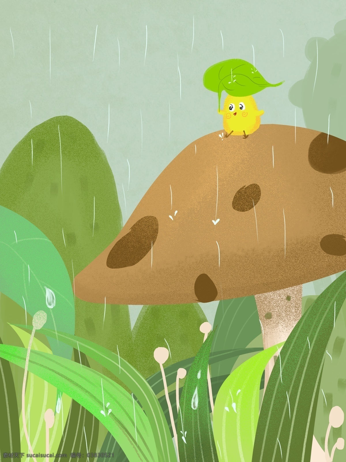 小鸡 雨水 节 避雨 雨水节 下雨 叶子 蘑菇