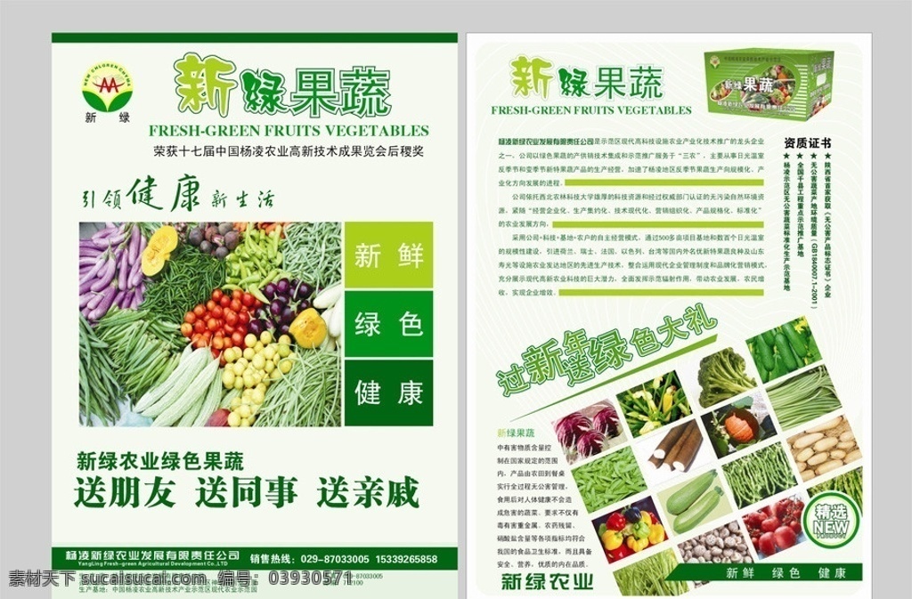 蔬菜单页 宣传单页 蔬菜 印刷 矢量