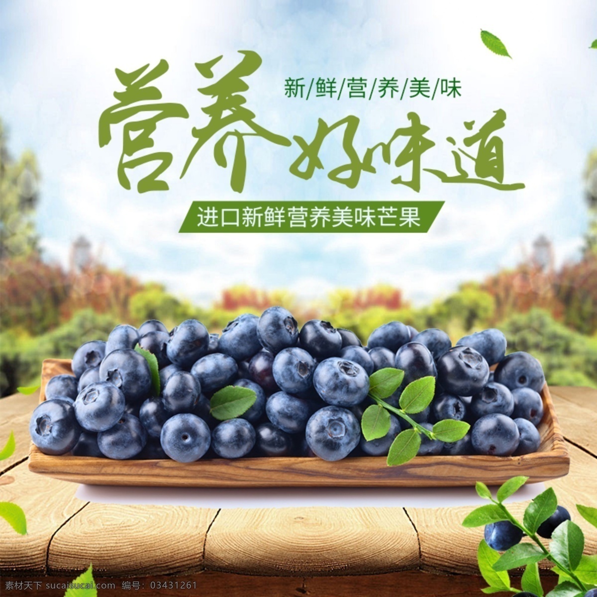 清新 简约 春夏 水果 蓝莓 主 图 直通车 主图 淘宝界面设计