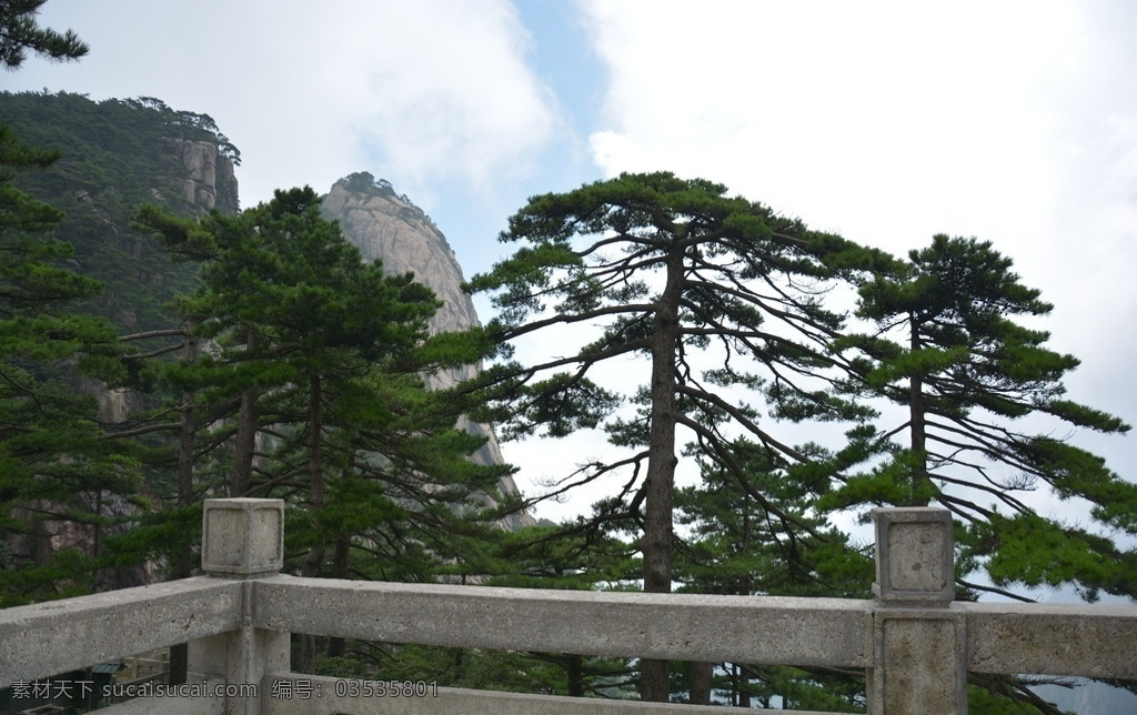 黄山 山顶 松树 山 安徽 自然景观 自然风景