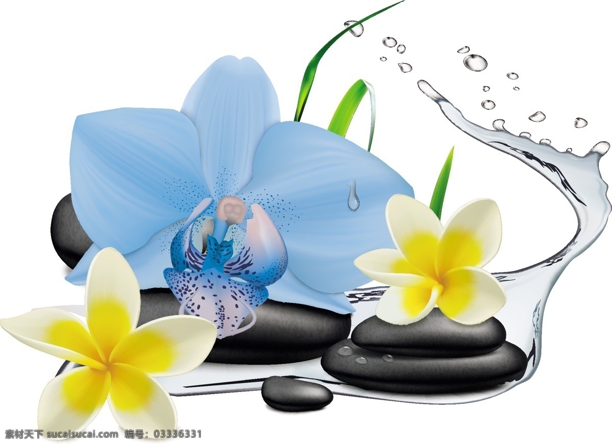 花与水疗石 花朵 唯美 生活 水疗用品 麦饭石 按摩石 养生按摩石 生活百科 生活素材