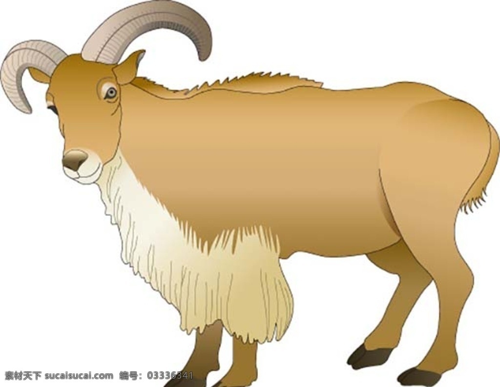 羊 野生山羊 山羊素材 山羊矢量图 白山羊 男人与母山羊 老山羊 公山羊 棉羊 山羊肉 兔子 卡通山羊 黑山羊 内蒙古山羊 野山羊 老山羊卡通图 动物黑白剪影 动物剪影 黑白剪影 生物世界 动物世界 野生动物