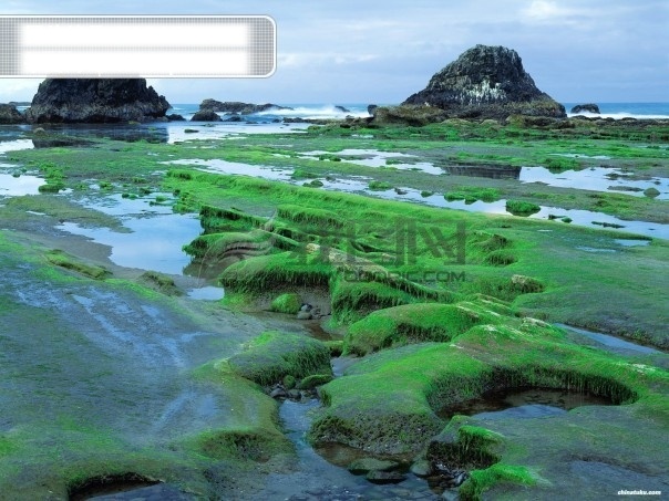 海滨湿地 大自然 风光 风光摄影 风光照片 风景 风景摄影 风景照片 摄影图 湿地 自然 自然风景 自然风光 风景照片素材 自然风光摄影 海边湿地 生活 旅游餐饮