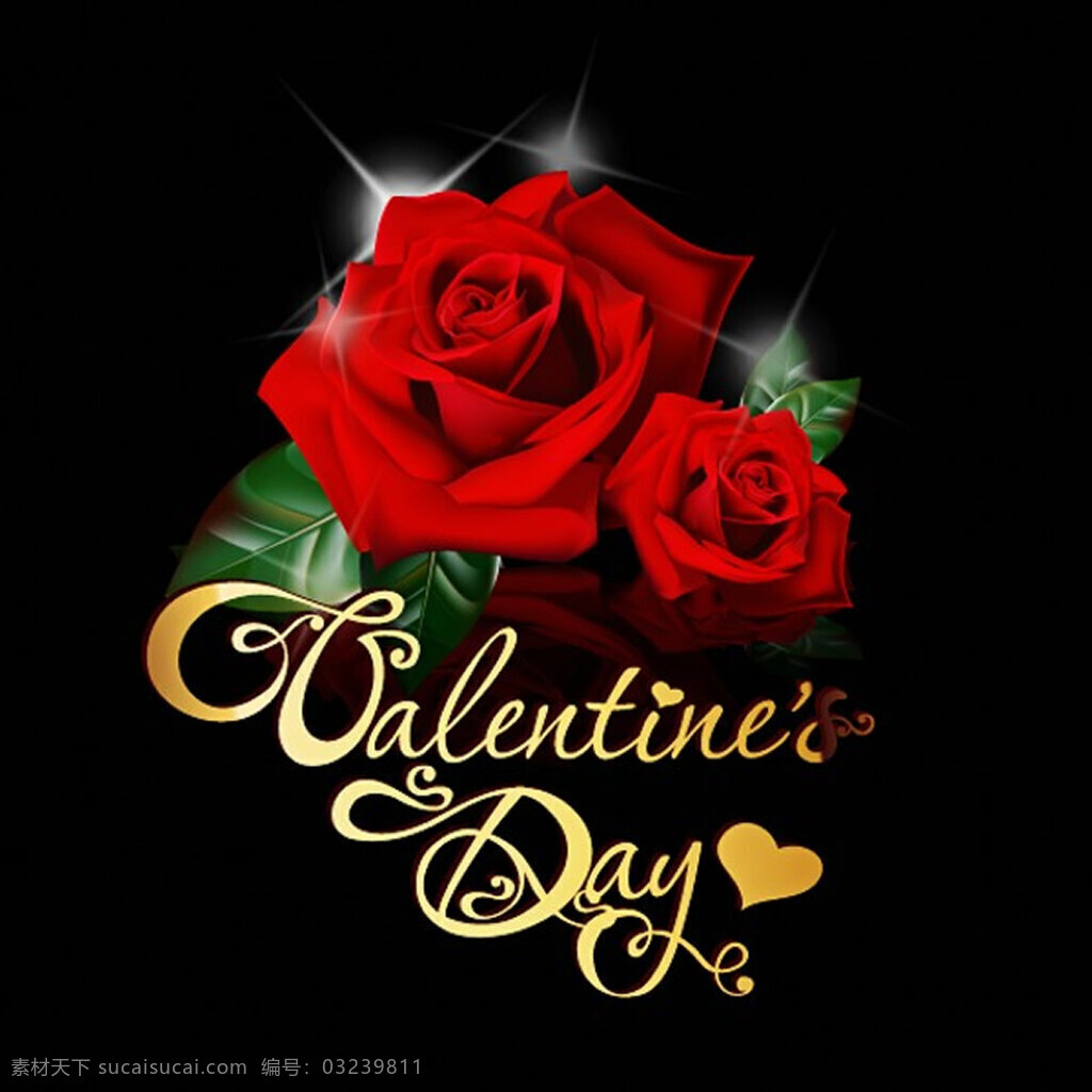 情人节 浪漫 红玫瑰 玫瑰 爱情 情人节贺卡 矢量素材 黑色