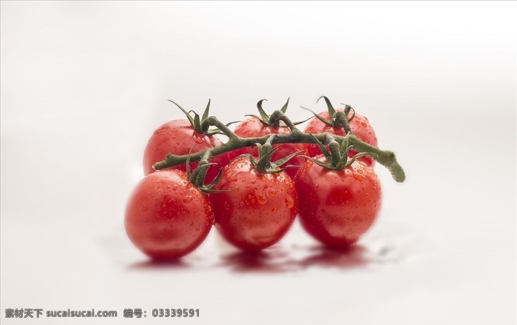 圣女果 蔬菜 西红柿 番茄 果实 蔬果 水果 天然 新鲜 水果墙 植物墙 生物世界