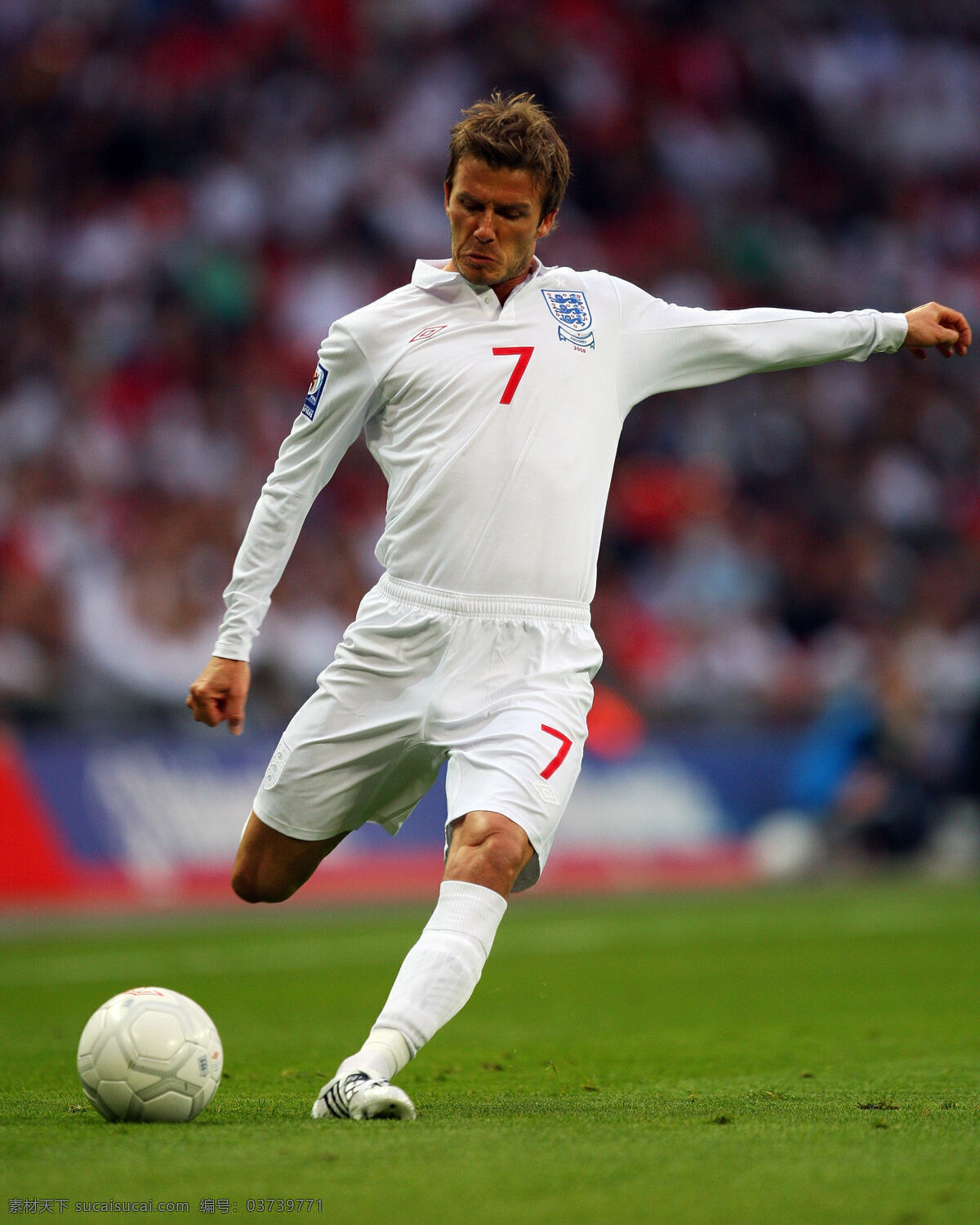 贝克汉姆 小贝 贝氏弧线 英格兰 7号 人物图库 男性男人 摄影图库