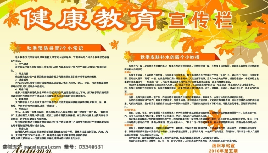 秋季 健康教育 宣传栏 秋天 枫叶 健康教育宣传 淡黄 暖色 展板模板