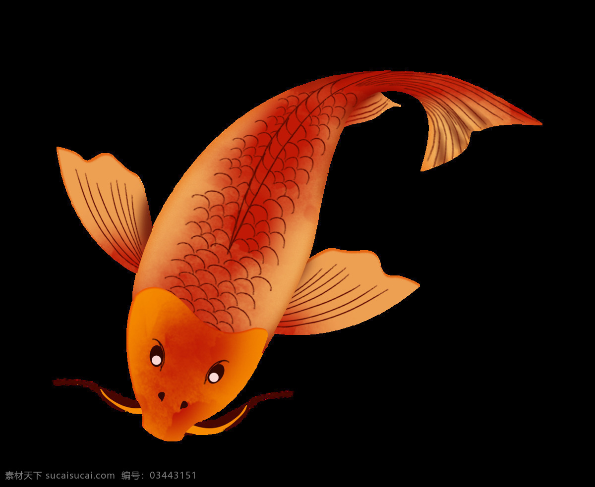 游鱼 金鱼 红色 鱼 生物世界 海洋生物 鱼类