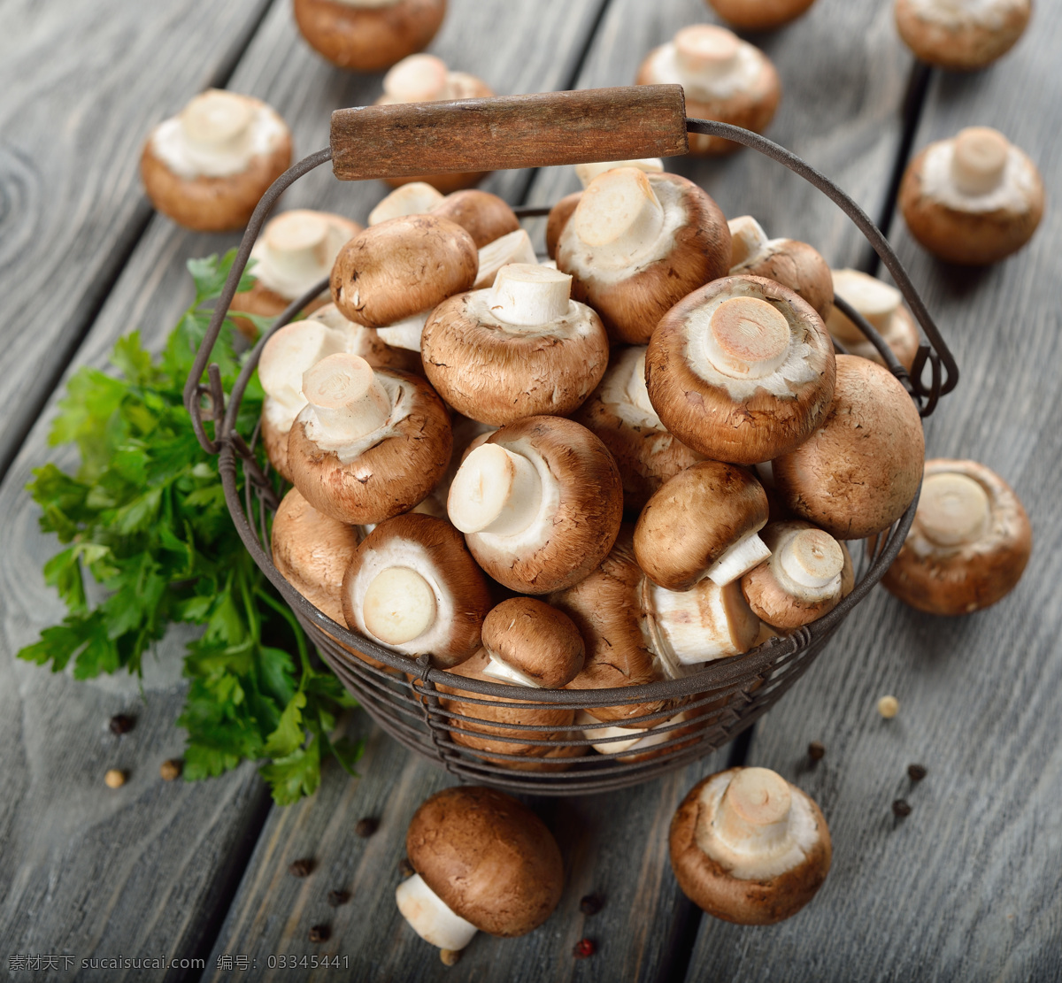 框 香菇 磨菇 菇类 食物原料 食材原料 餐饮美食 美食摄影