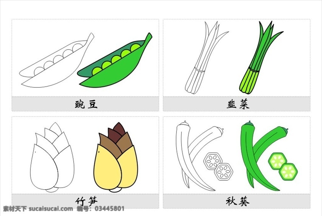 植物简笔画 蔬菜简笔画 儿童简笔画 儿童画 豌豆 韭菜 竹笋 秋葵 矢量 简图