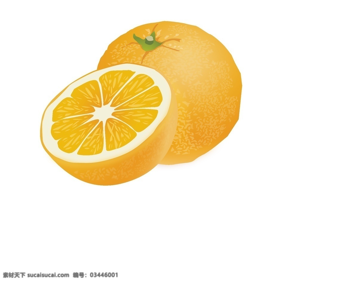 橙子 橘子 桔子矢量图 桔子 水果 切半 半年 矢量 可编辑 生物世界
