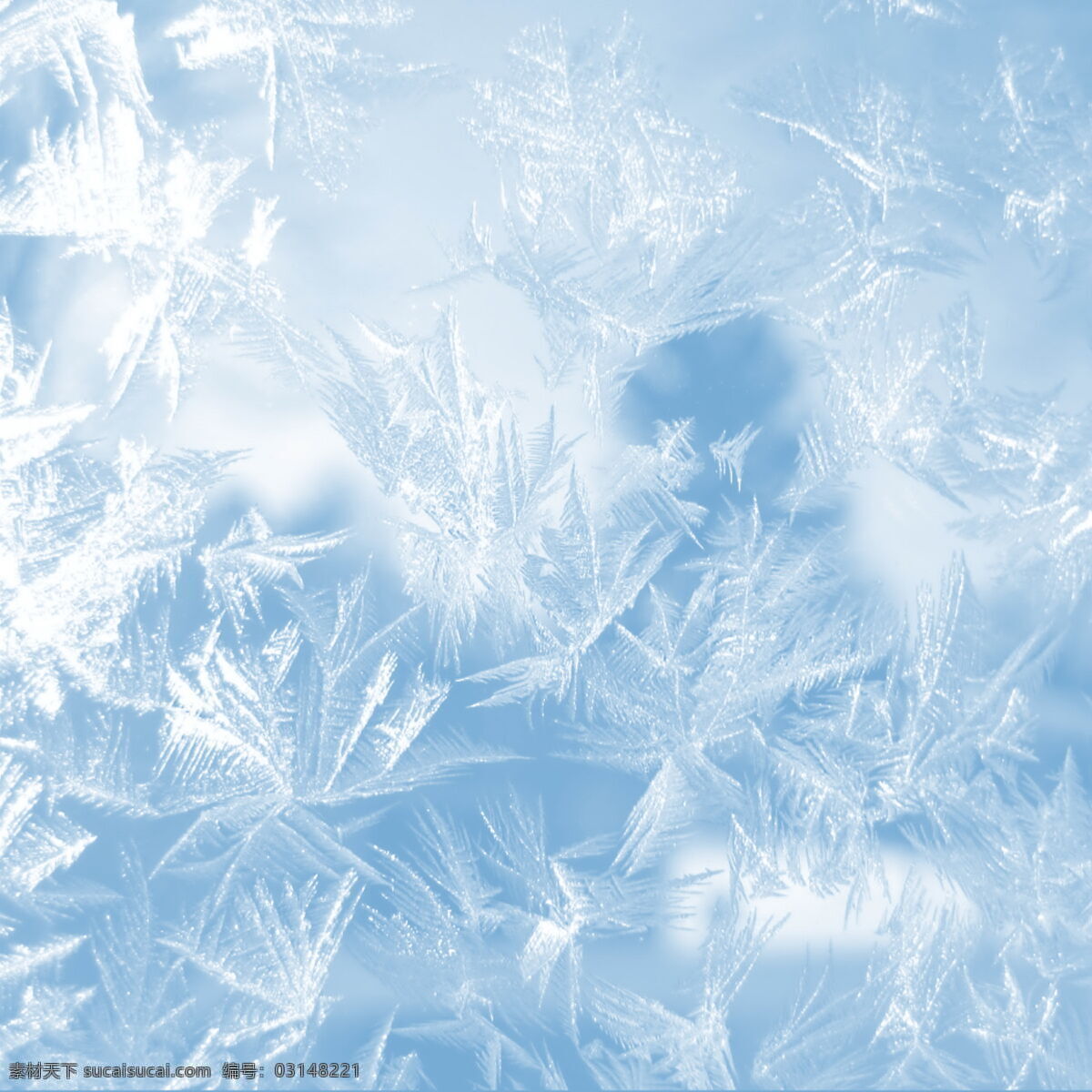 冰花 冰晶 冰霜 冰粒 冰凌 雪 冬雪 树枝 松枝 背景底纹 底纹边框