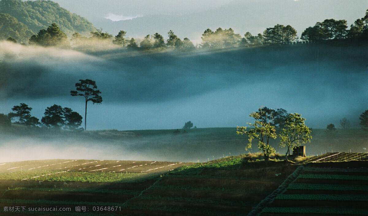 清晨的山野 山野田间 晨曦 第一缕阳光 山间的早晨 旅游摄影 自然风景