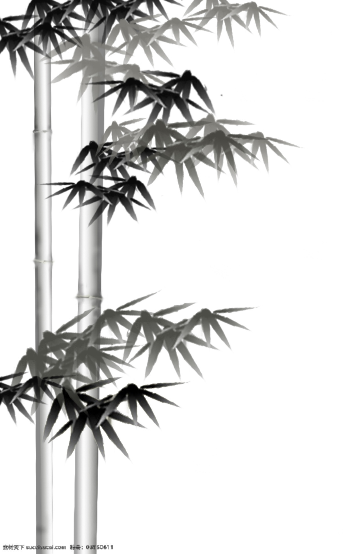 竹免费下载 分层 高雅 气质 新年新气象 源文件 植物 竹 节节高升 笔直 矢量图 日常生活