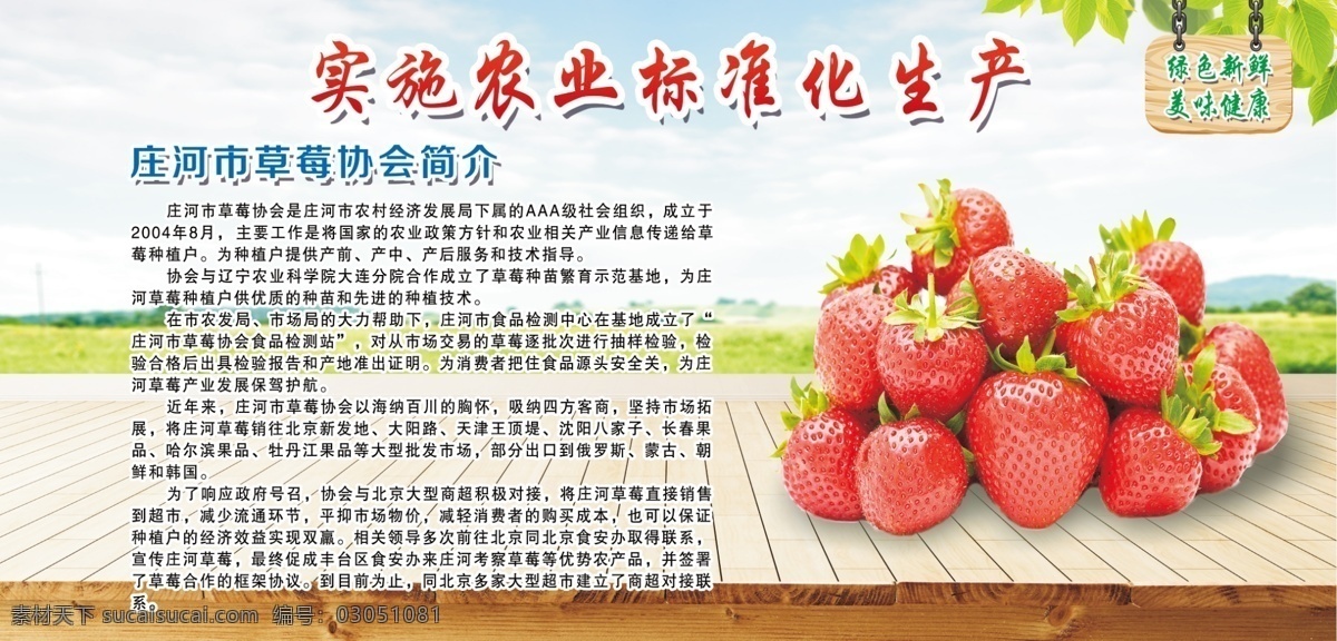 草莓协会 草莓设计 清新背景 地板 绿色 蓝天 草莓 企业简介