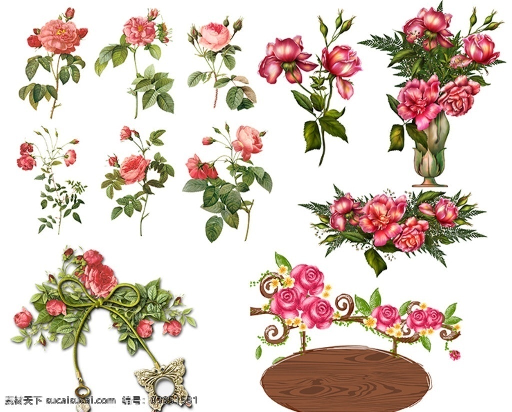 粉红玫瑰 玫瑰花素材 3d 矢量玫瑰 玫瑰特写 玫瑰花图案 怀旧 绘画风格 玫瑰花束 欧式广告吊牌 花卉植物 分层