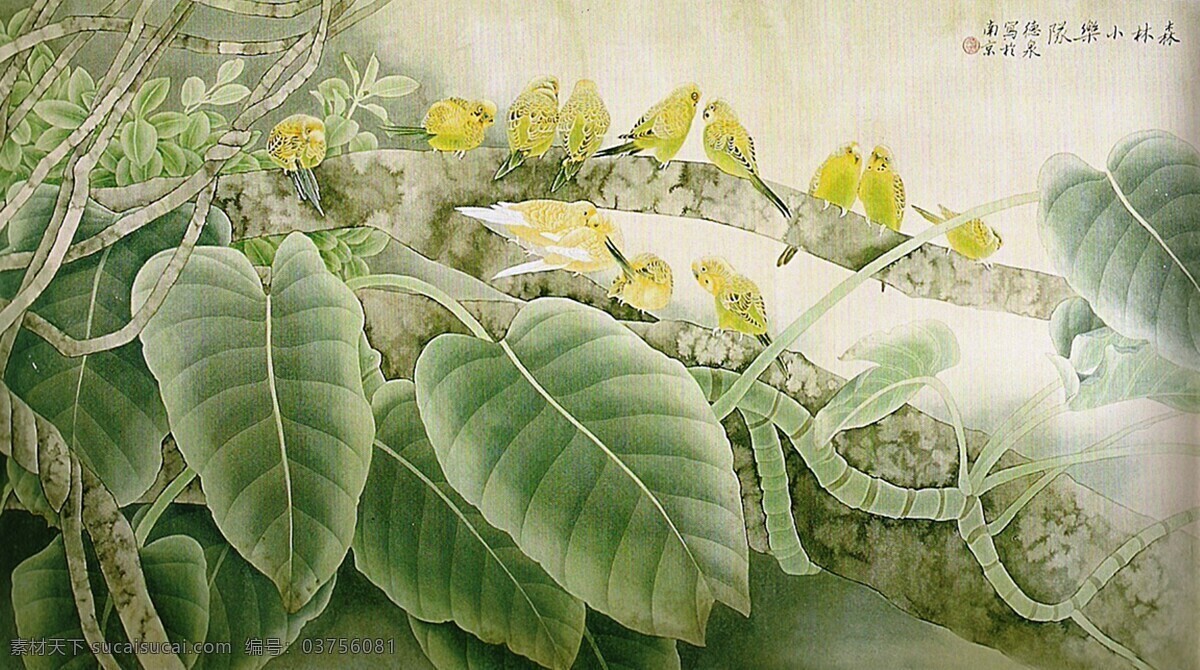 鹦鹉 雨林 国画 工笔画 花鸟画 绘画 书画 张德泉 绘画书法 文化艺术