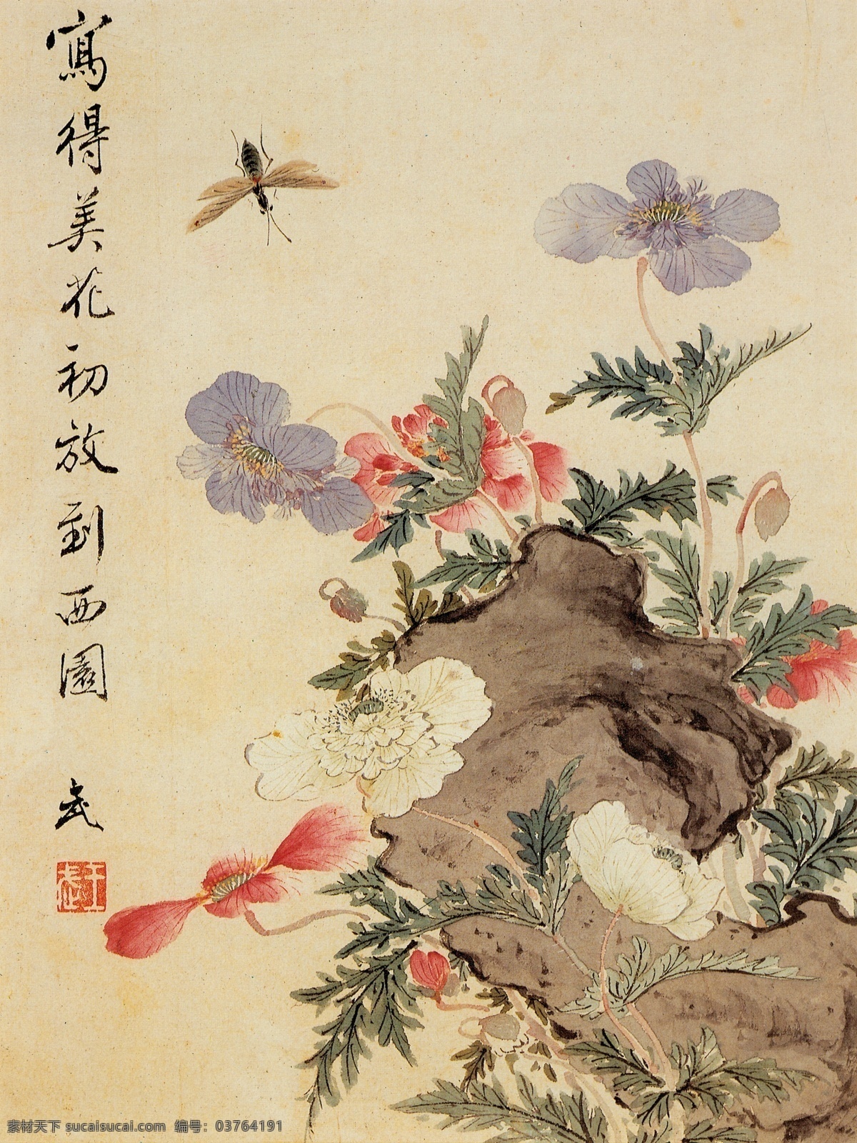 清 王武 花卉册 中国画 工笔画 工笔画鸟 工笔 古代 花鸟画 古画图 工笔画素材 国画 水墨工笔画 工笔画画稿 写意绘画 文化艺术 绘画书法 高清 工笔画展 ti 历代古画