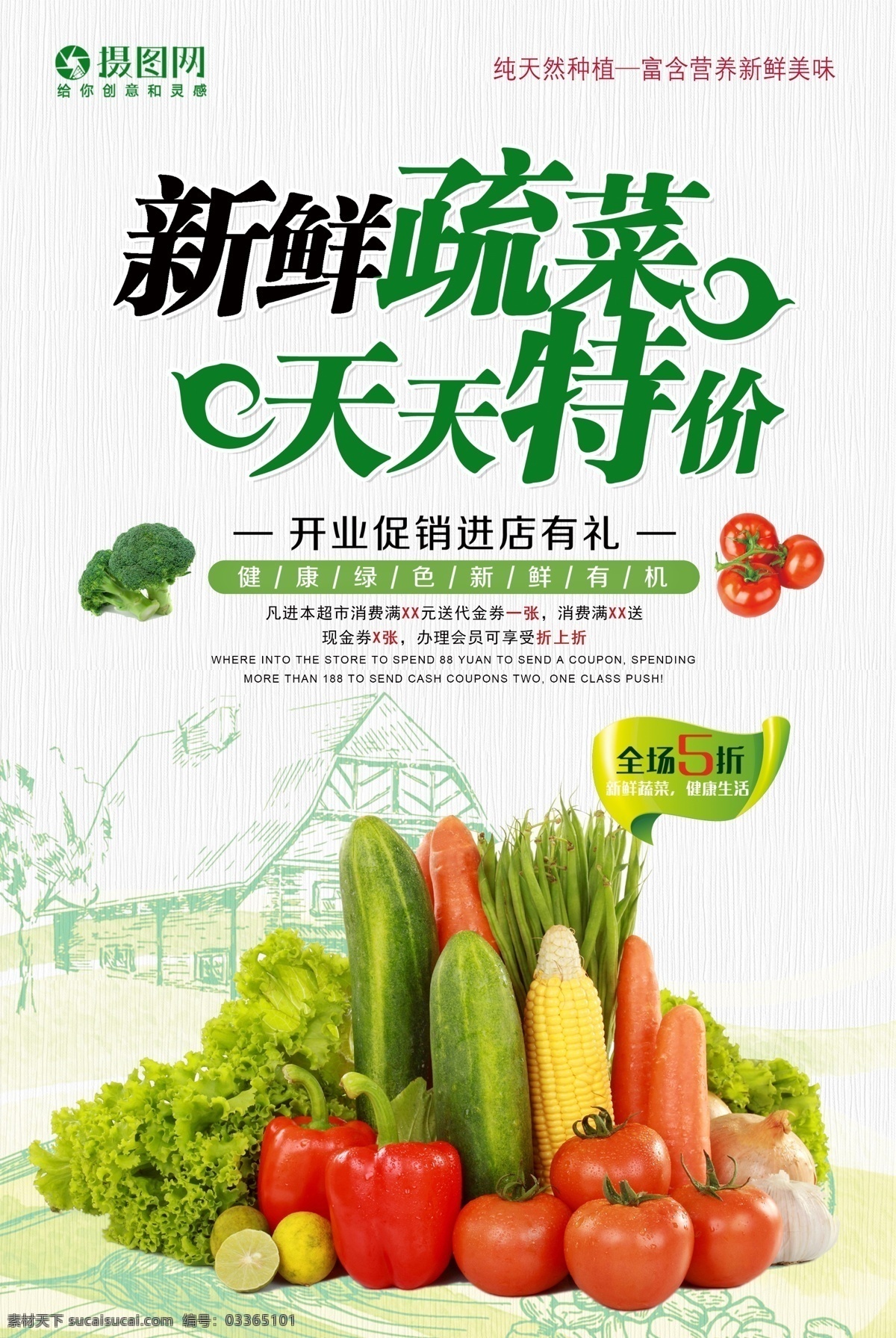 蔬菜 特价 促销 海报 果蔬 促销海报 蔬菜海报 蔬菜促销 新鲜 绿色 健康 新鲜蔬菜 新鲜蔬果