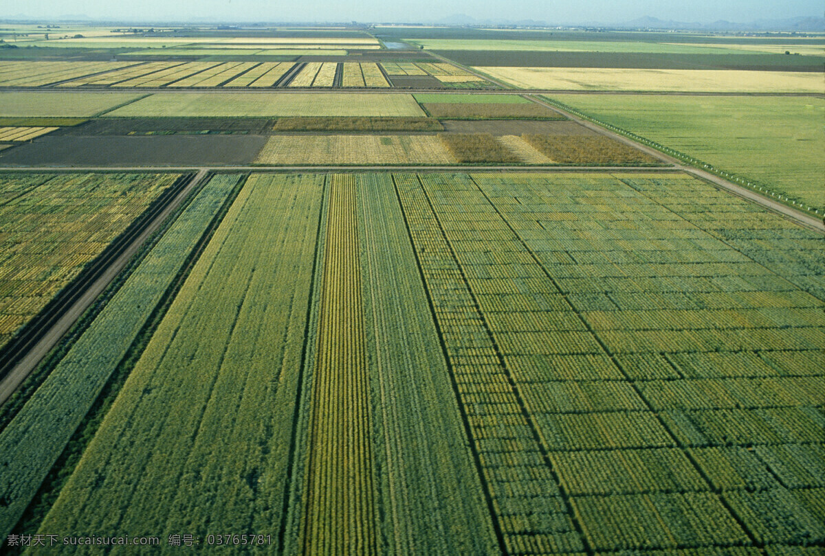 农田 稻田 农业 平原 农场 粮食生产 农业生态 区块 摄影图片 现代科技 农业生产