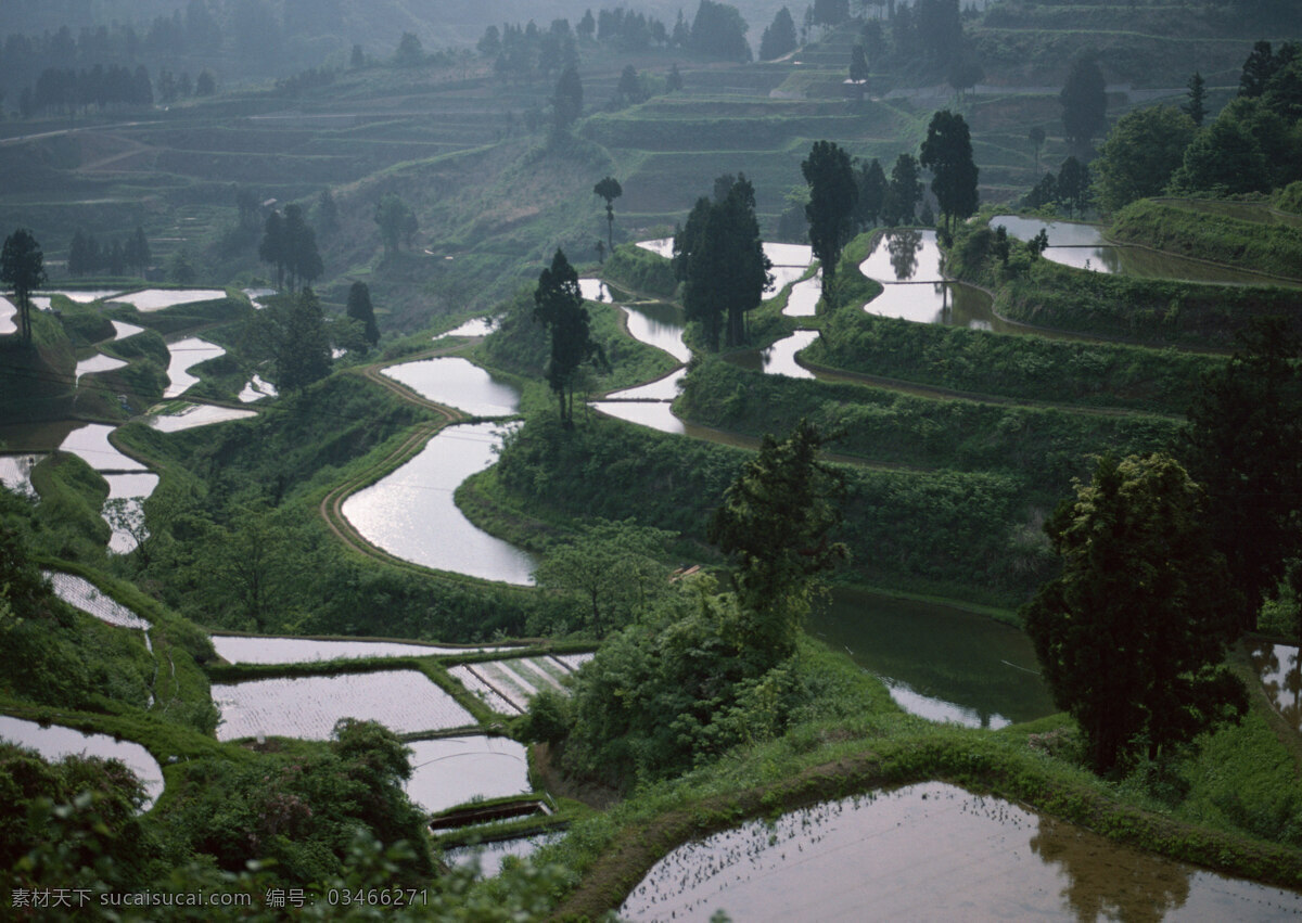 晨雾 村庄 风景 风景背景 风景画 河流 湖泊 湖景 湖面 湖畔 梯田 梯田图片 梯田风景图片 山水风景 山峰 山水背景 山水风光 山坡 绿色背景 绿叶 绿草地 绿树 树木 树木大树 山林 森林 森林风景 森林公园 森林背景 景色 山景 秋天风景 自然风景 自然风光 自然景色 雾气 雾中的山 湖水风景 蓝天白云 花纹背景 花瓣 花草 花卉 花藤 蓝天草地 蓝天大海 野外 野外风景 夕阳风景 装饰素材 山水风景画