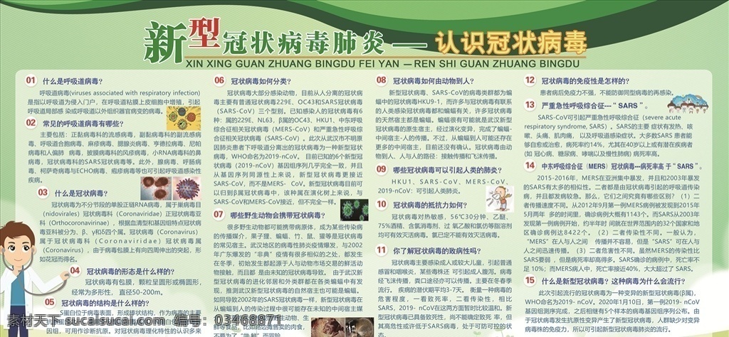 认识冠状病毒 新型冠状病毒 预防 病毒 肺炎宣传栏 医生 冠状病毒 分层