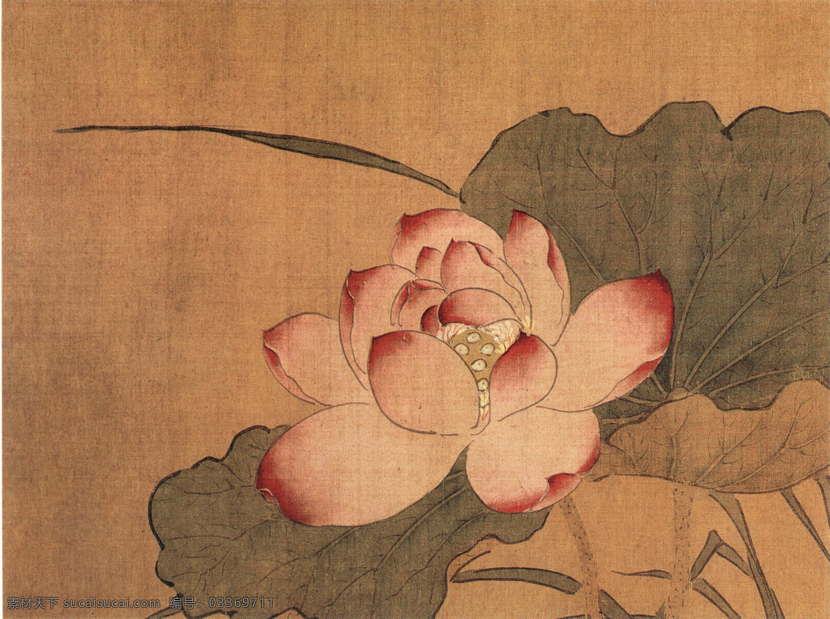 花鸟图b 花鸟画 中国 古画 中国古画 设计素材 花鸟名画 古典藏画 书画美术 棕色