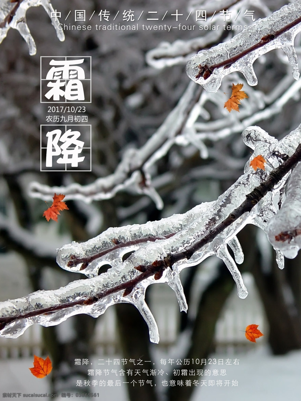 简约 霜降 海报 中国 传统 二十四节气 宣传海报 霜降海报 节气宣传海报 霜降节气海报 节气