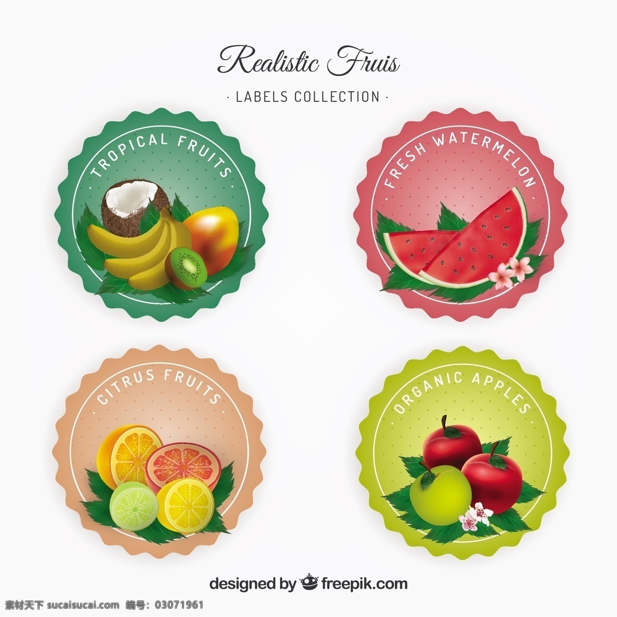 现实 中 水果 贴画 采购产品食品 标签 夏天 颜色 橙色 热带 苹果 圆 香蕉 健康 椰子 吃 健康食品 西瓜 饮食
