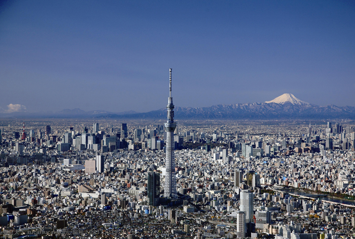 东京 日本 大都市 东京树 富士山 全景 城市 国外旅游 旅游摄影