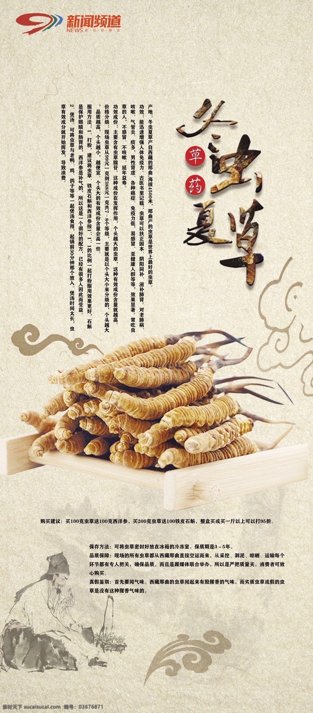 冬虫夏草 冬虫 虫草 高清 分层 中药 展架