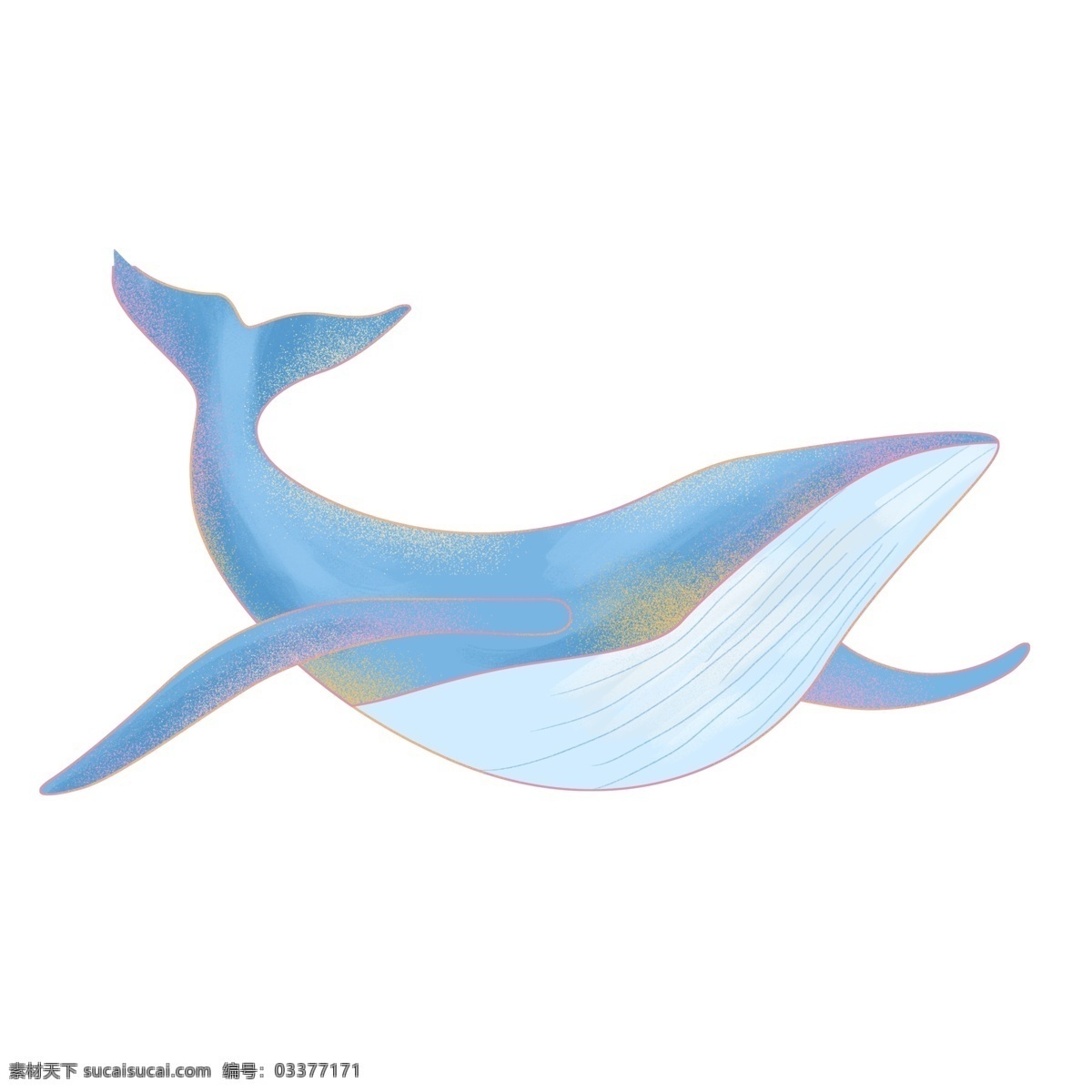 蓝色 唯美 鲸鱼 手绘 小清新 动物 插画 卡通元素