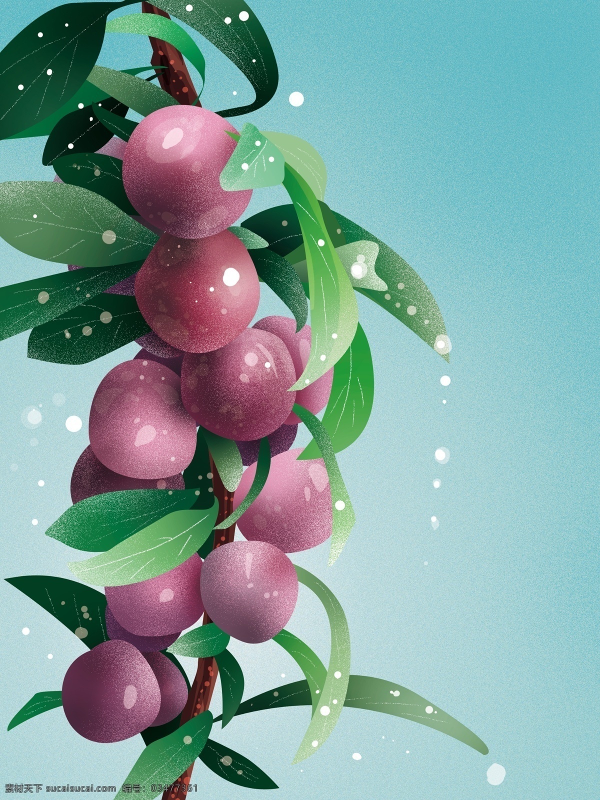 新 鲜红 脆 李 水果 背景 新鲜水果 李子 李子图标 树枝 一串李子 成熟的李子 红脆李图片