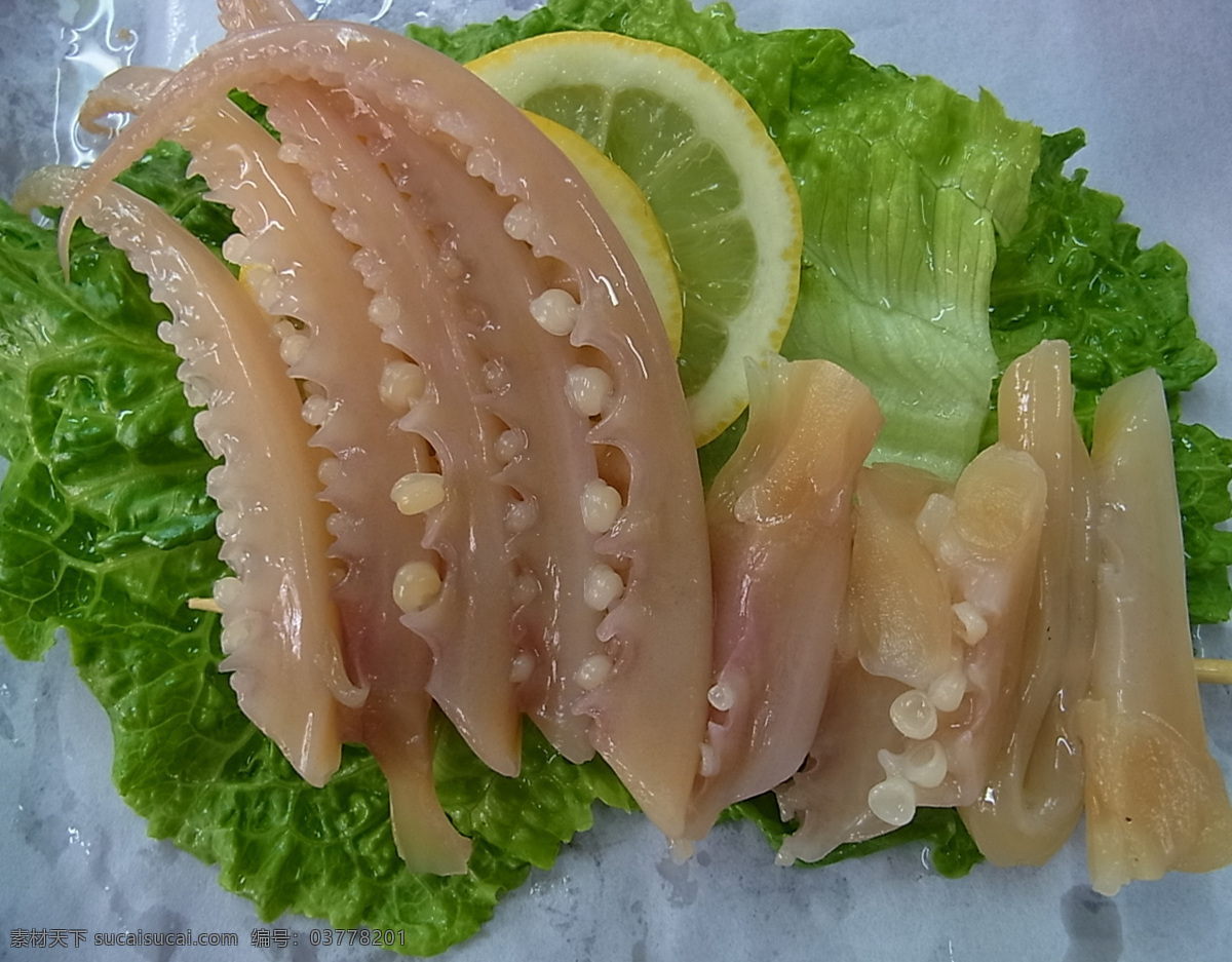 鱿鱼 食物原料 餐饮美食