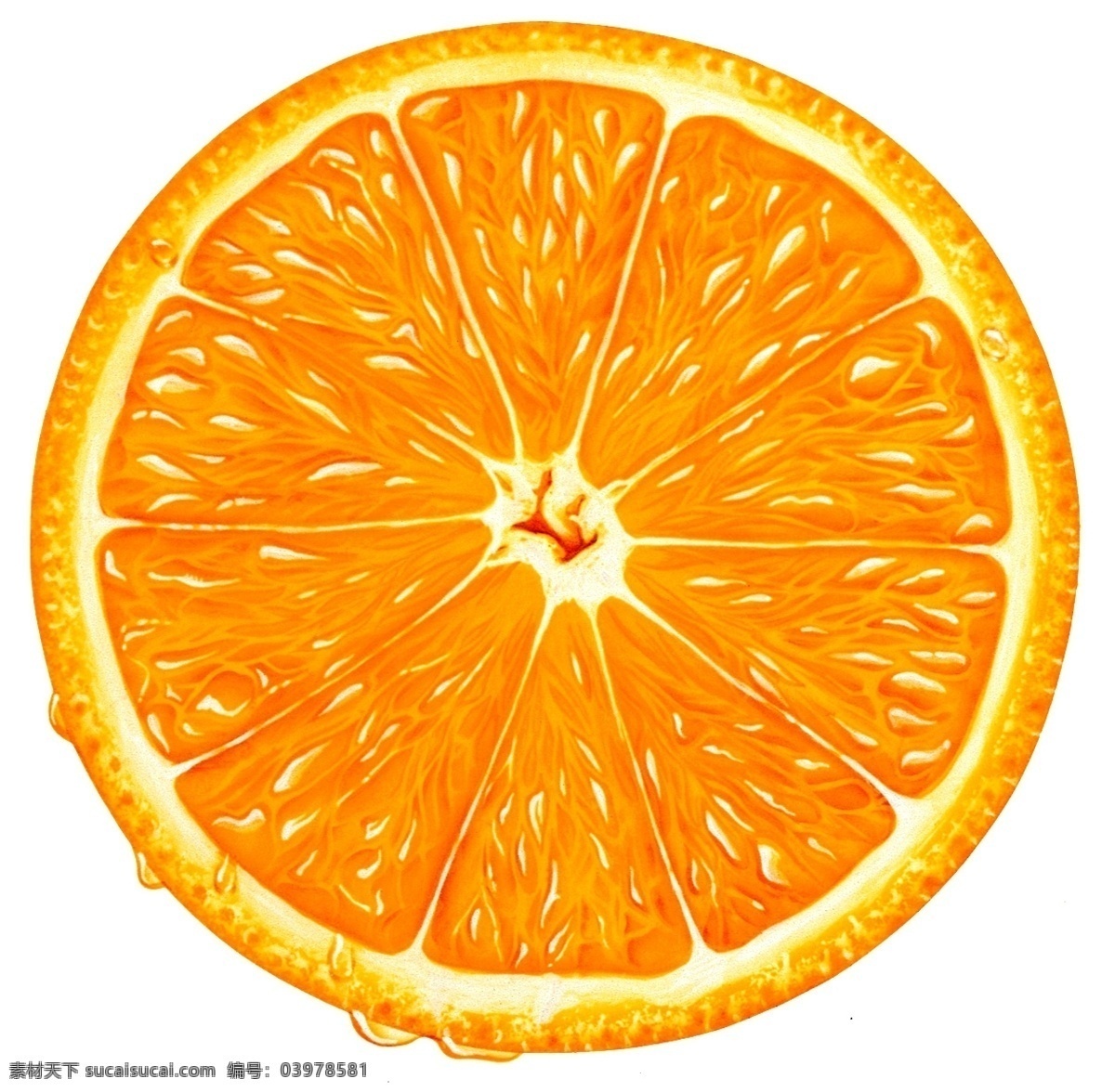 果脯 果肉 水果 美味 话梅 健康 营养 广告 大 辞典 橙色