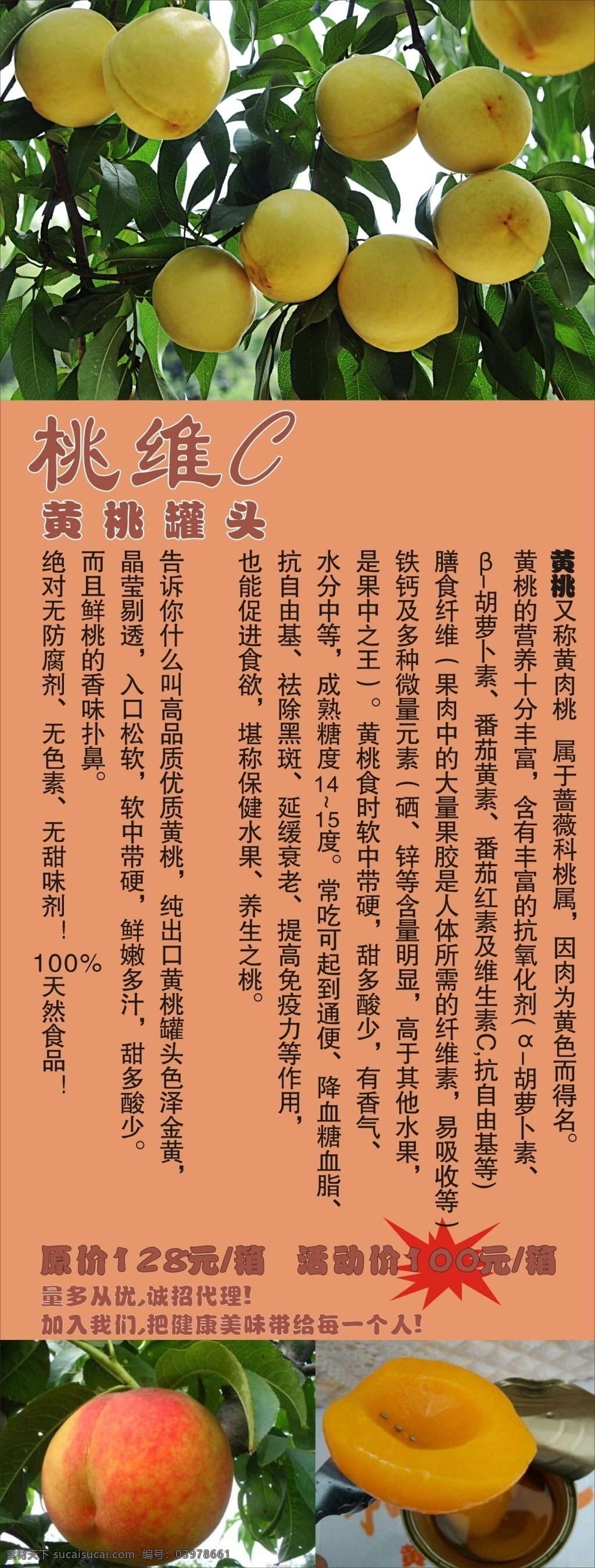 黄桃罐头 展架 简介 橙色