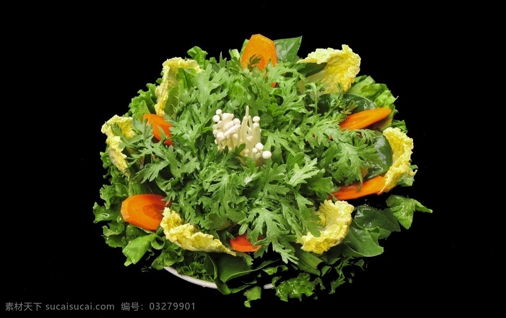 蔬菜拼盘 新鲜蔬菜 环保蔬菜 无毒蔬菜 拼盘 蔬菜 火锅菜 餐饮美食 食物原料